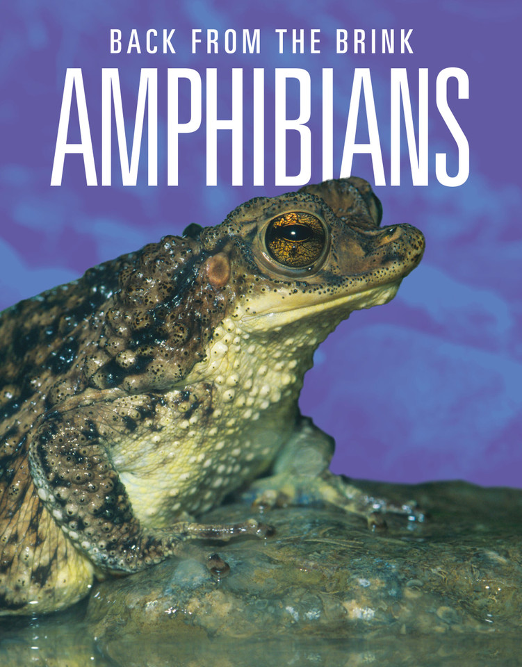 Amphibians: Back from the Brink book cover by Joanne Mattern