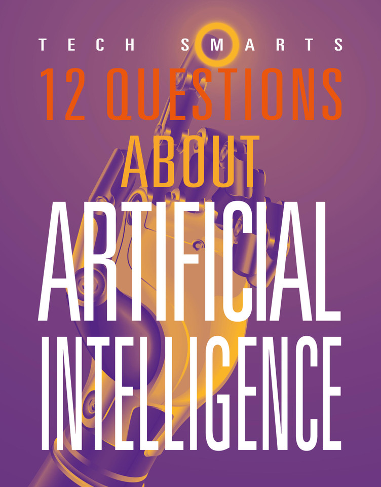 12 Questions about Artificial Intelligence book cover by Marne Ventura