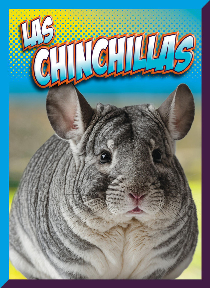 Las chinchillas book cover by Marysa Storm