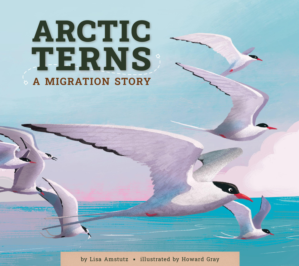 Arctic Terns: A Migration Story book cover by Lisa Amstutz