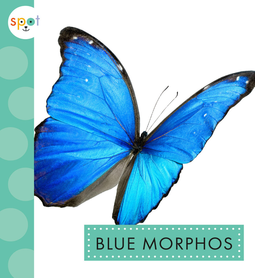Blue Morphos book cover by Alissa Thielges