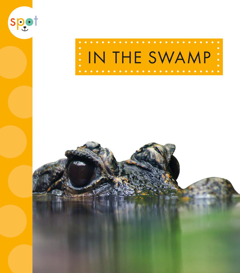In the Swamp book cover by Alissa Thielges