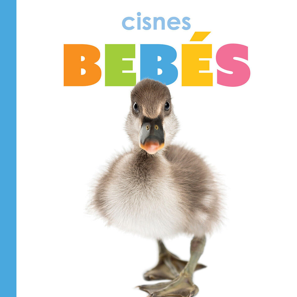 Cisnes bebes book cover by Meg Greve