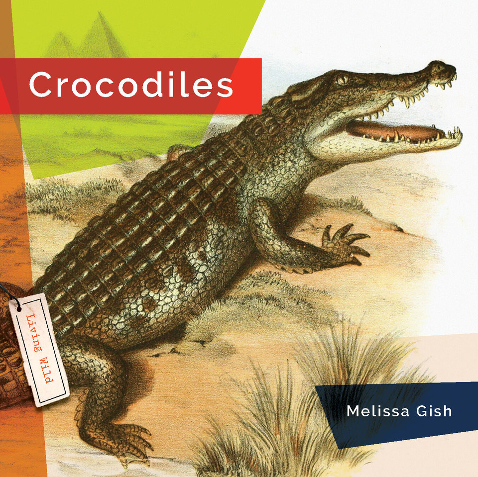 Crocodiles book cover by Melissa Gish