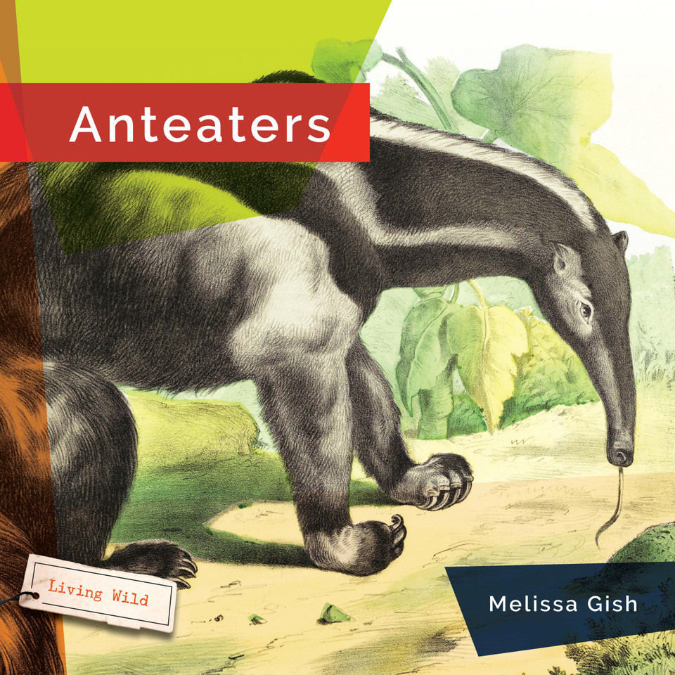 Anteaters book cover by Melissa Gish