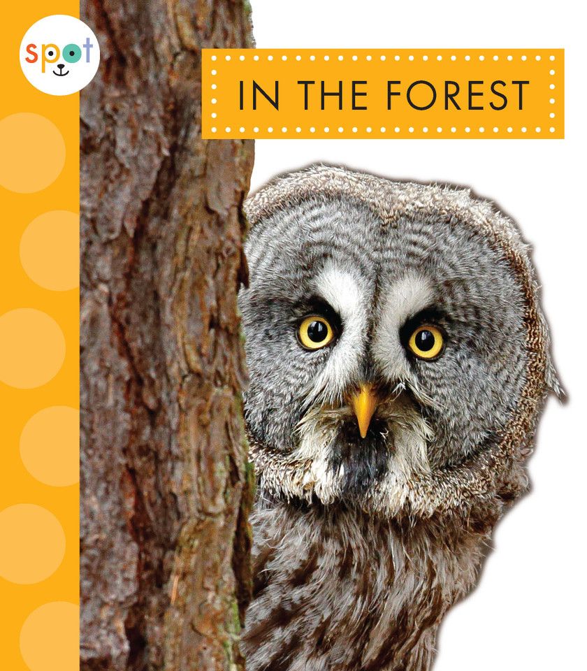 In the Forest book cover by Alissa Thielges