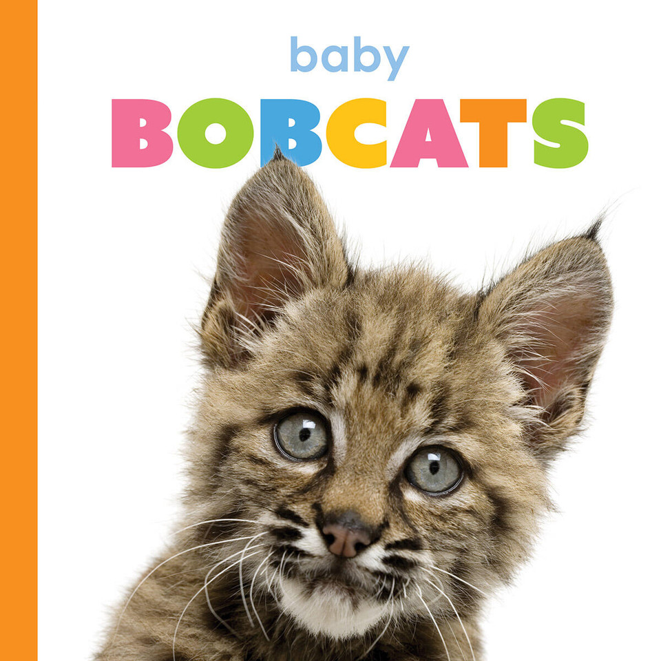 Baby Bobcats (Starting Out) book cover by Kim Thompson