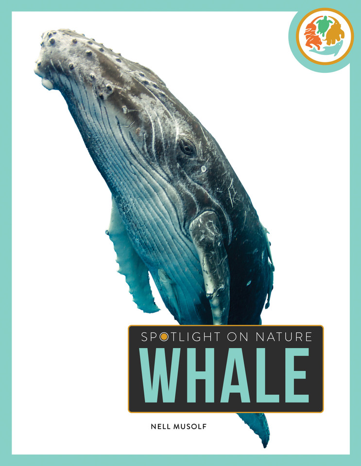 Whale book cover by Nell Musolf