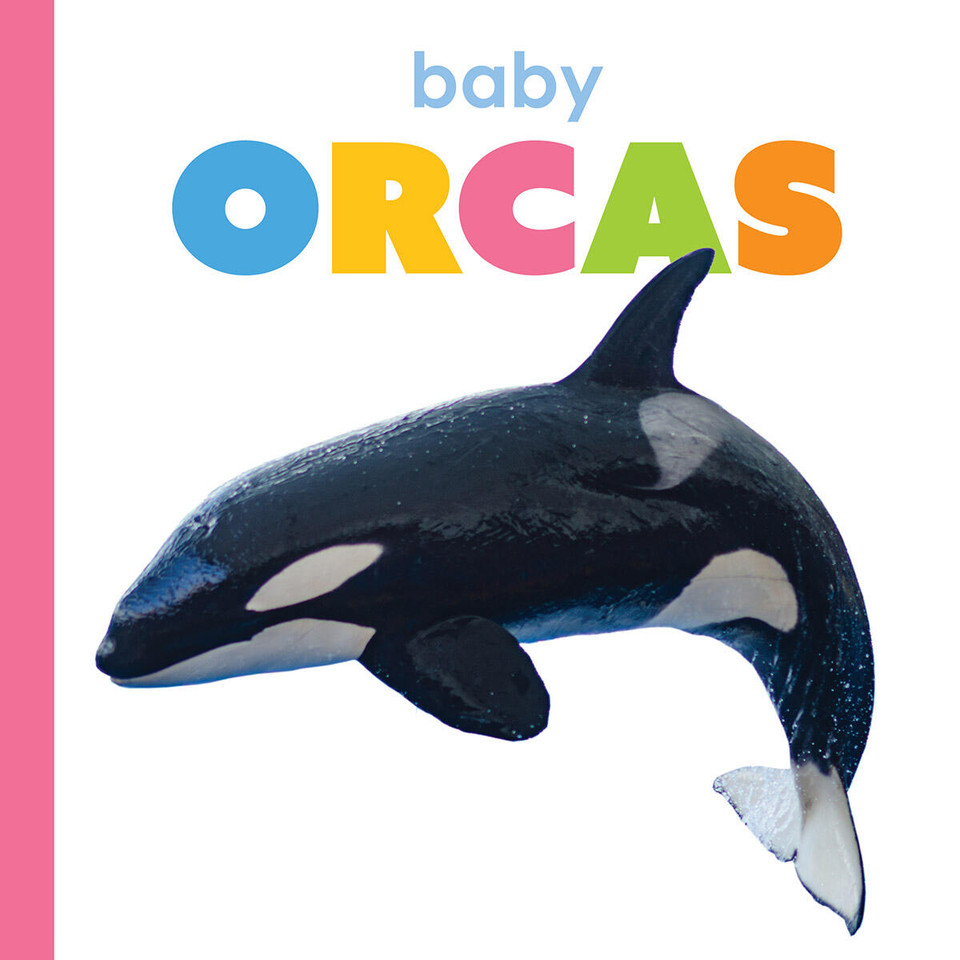 Baby Orcas (Starting Out) book cover by Kim Thompson