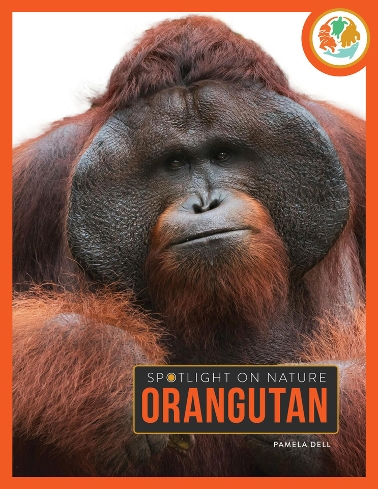 Orangutan book cover by Pamela Dell