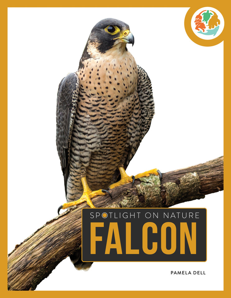 Falcon book cover by Pamela Dell