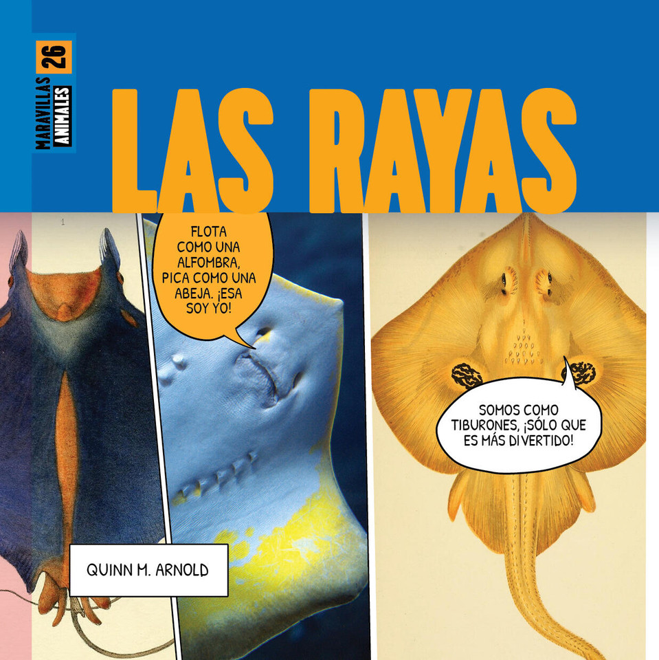 Las rayas book cover by Quinn M. Arnold