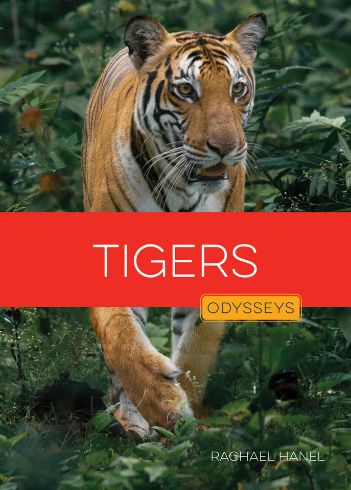 Tigers book cover by Rachael Hanel