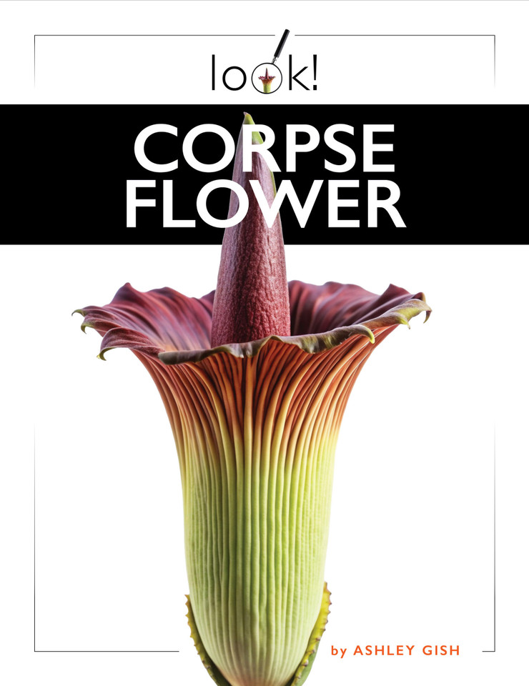 Corpse Flower book cover by Ashley Gish