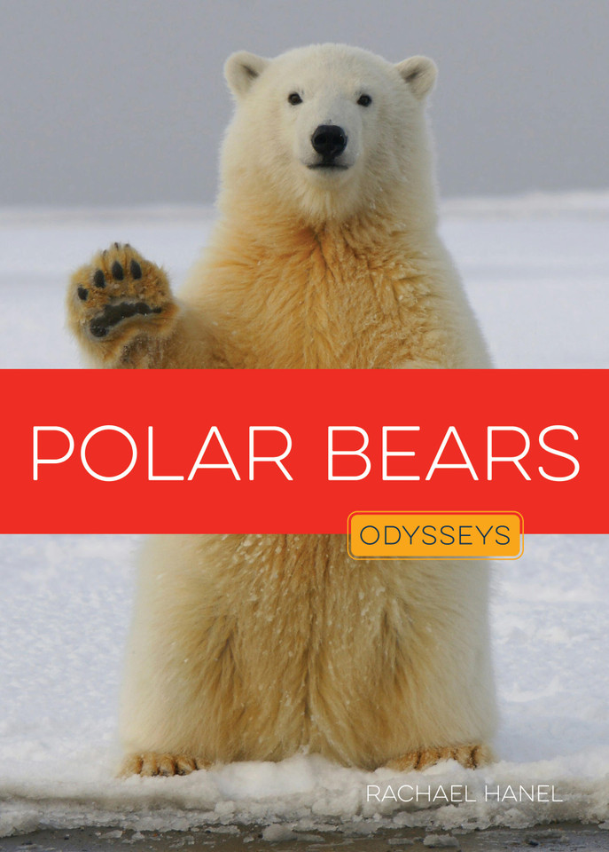 Polar Bears book cover by Rachael Hanel