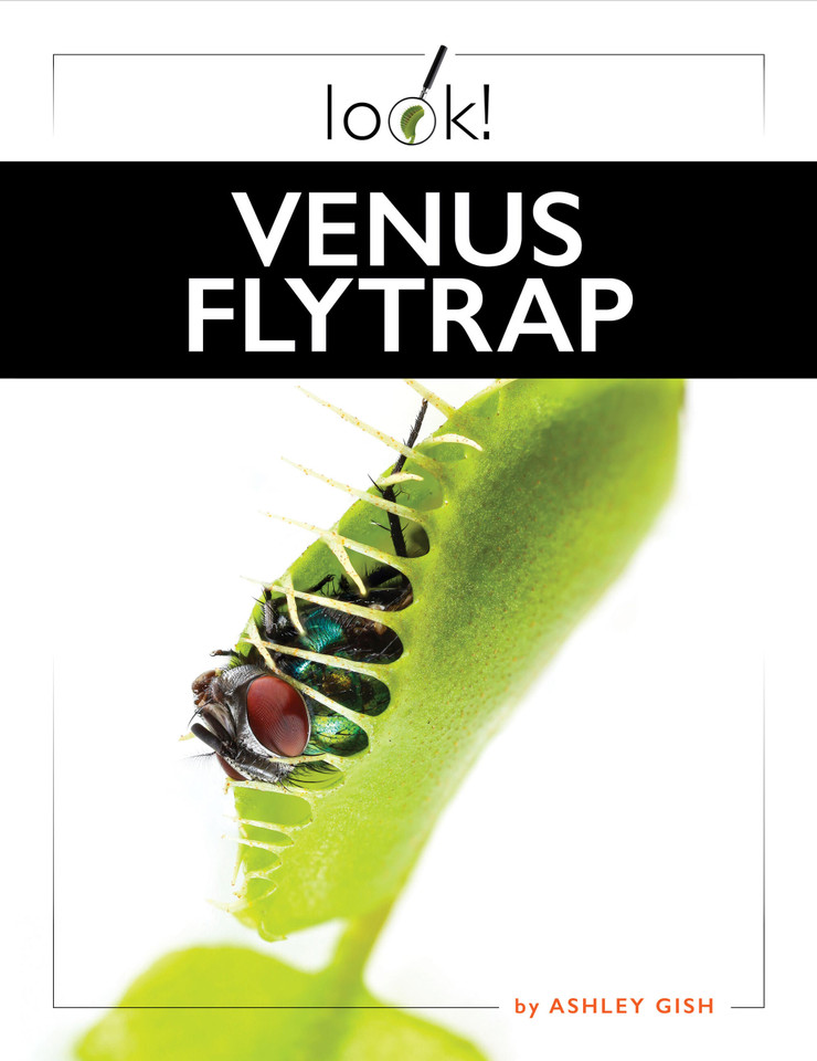 Venus Flytrap book cover by Ashley Gish