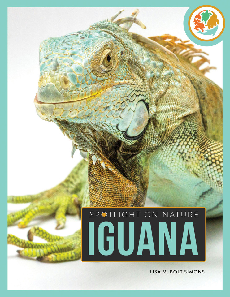 Iguana book cover by Lisa M. Bolt Simons