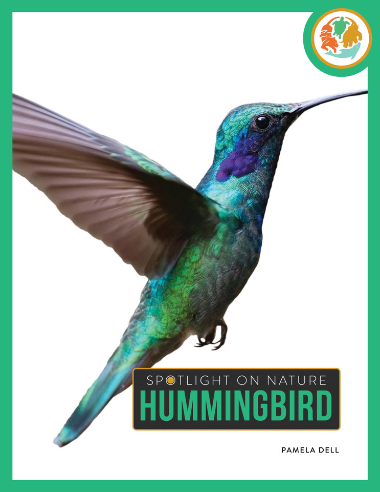 Hummingbird book cover by Pamela Dell