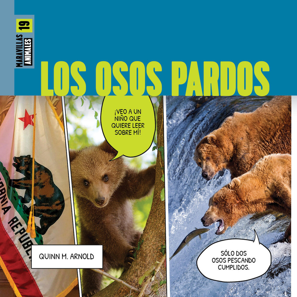 Los osos pardos book cover by Quinn M. Arnold
