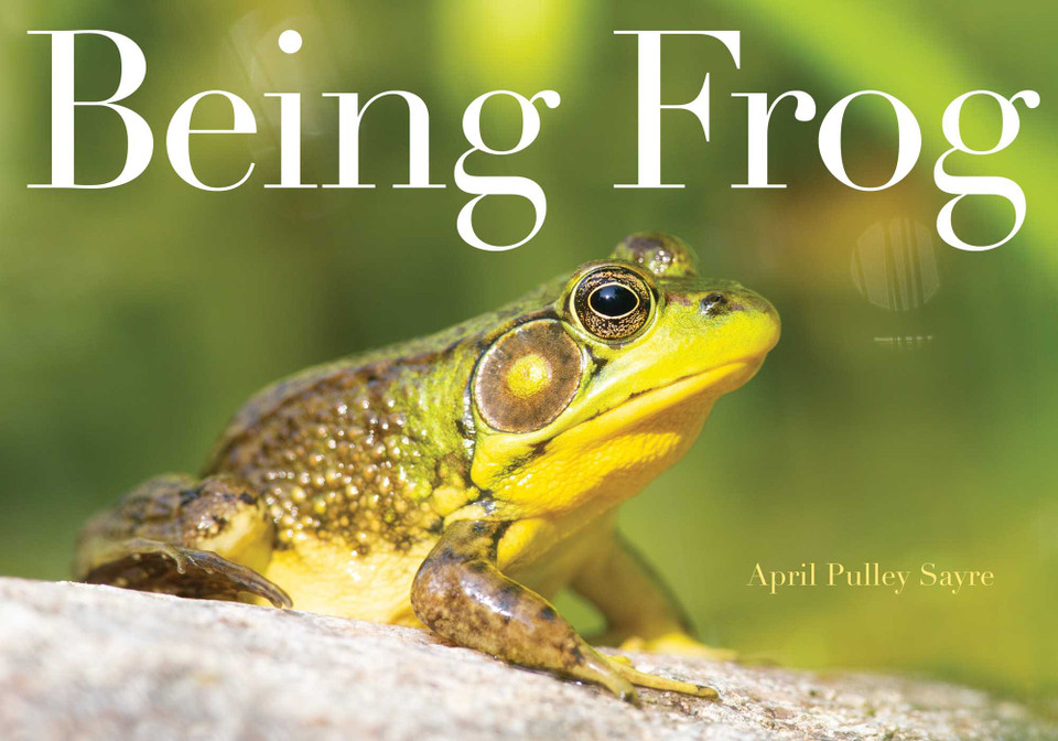 Being Frog book cover by April Pulley Sayre