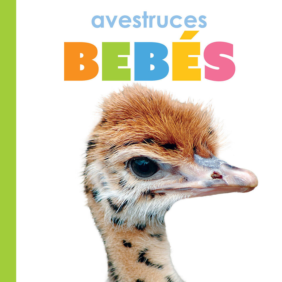 Avestruces bebés book cover by Kim Thompson
