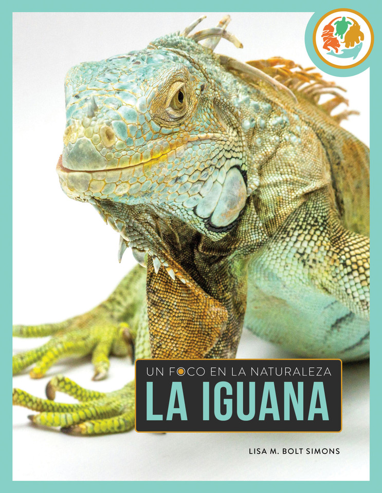 La iguana book cover by Lisa M. Bolt Simons