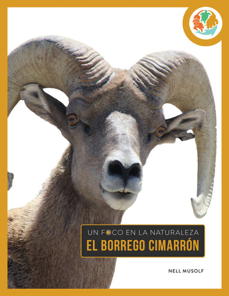 El borrego cimarrón book cover by Nell Musolf