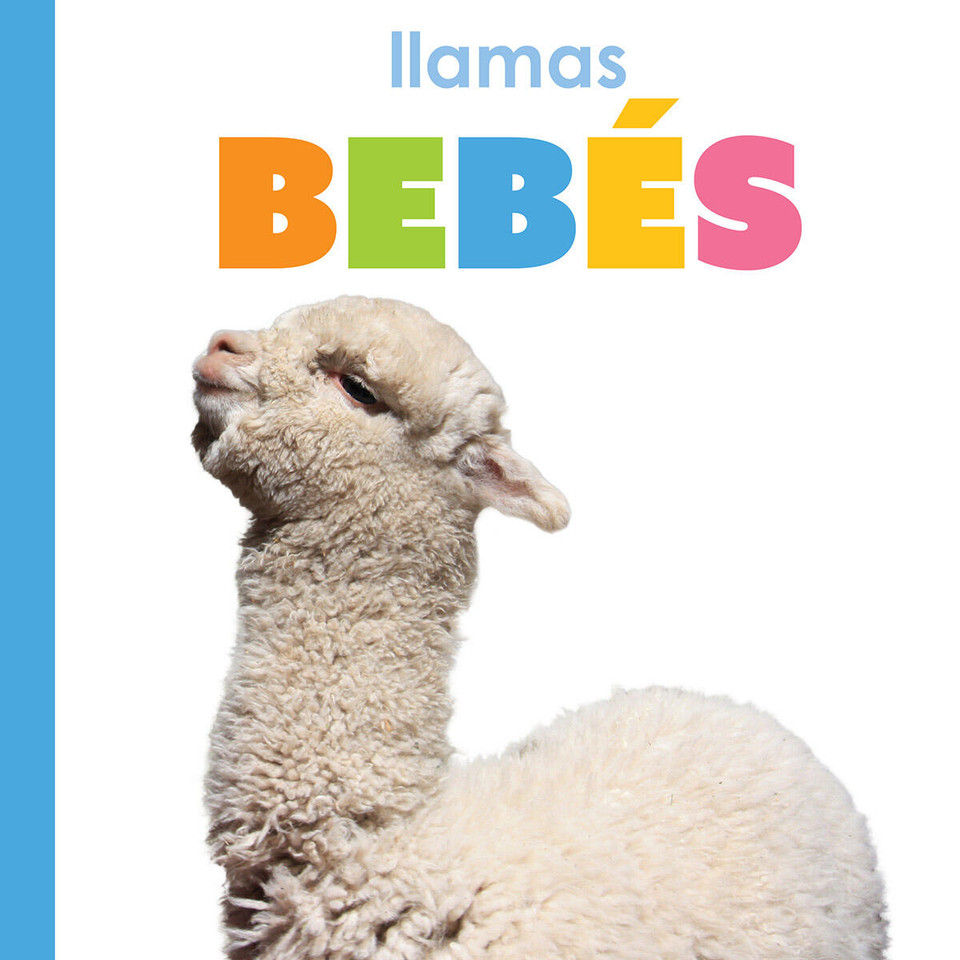 Llamas bebés book cover by Kim Thompson