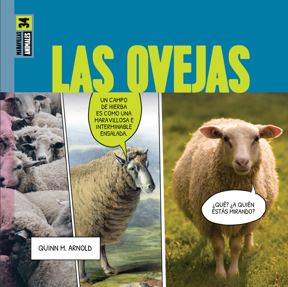 Las ovejas book cover by Quinn M. Arnold