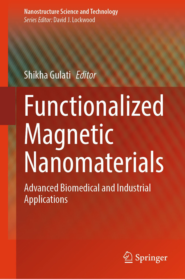 Functionalized Magnetic Nanomaterials: Advanced Biomedical and Industrial Applications (Nanostructure Science and Technology) book cover by 