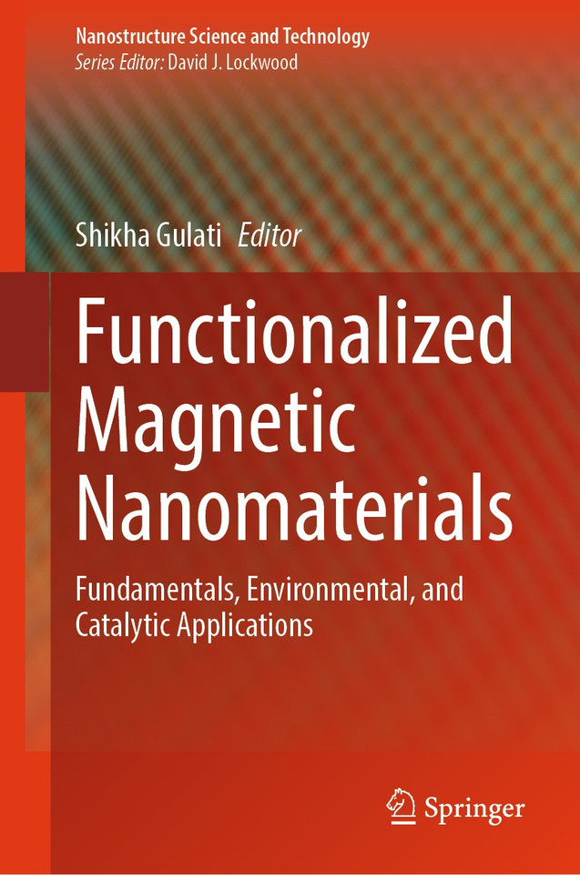 Functionalized Magnetic Nanomaterials: Fundamentals, Environmental, and Catalytic Applications (Nanostructure Science and Technology) book cover by 