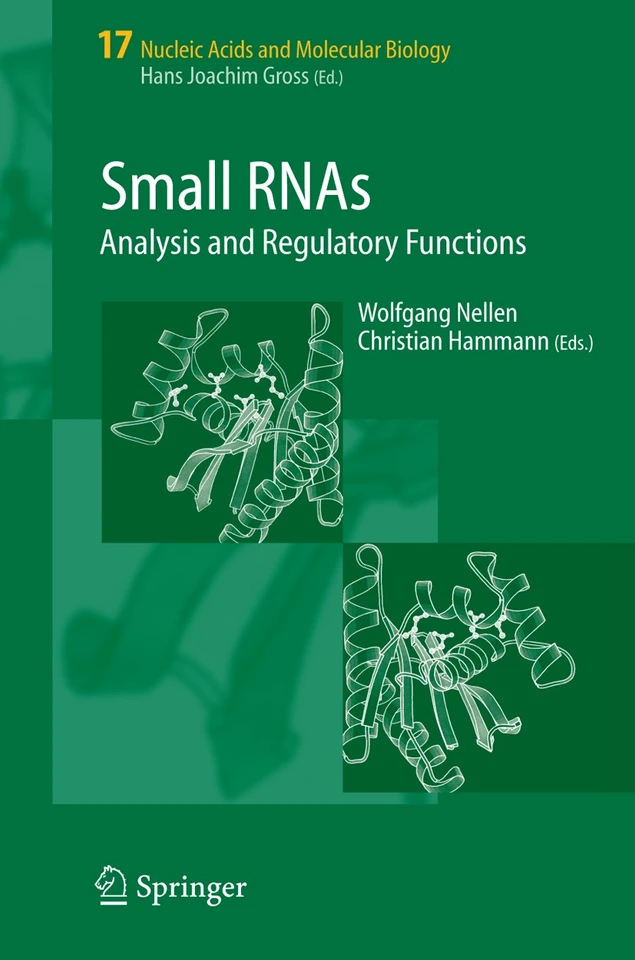 Small RNAs:: Analysis and Regulatory Functions (Nucleic Acids and Molecular Biology #17) book cover by 