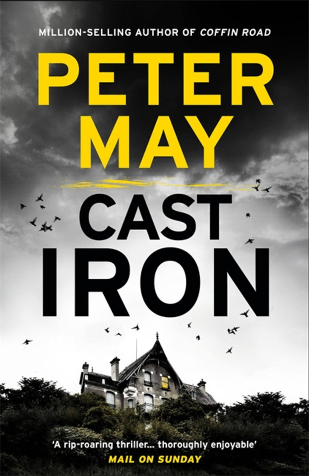 Cast Iron (The Enzo Files) book cover by Peter May