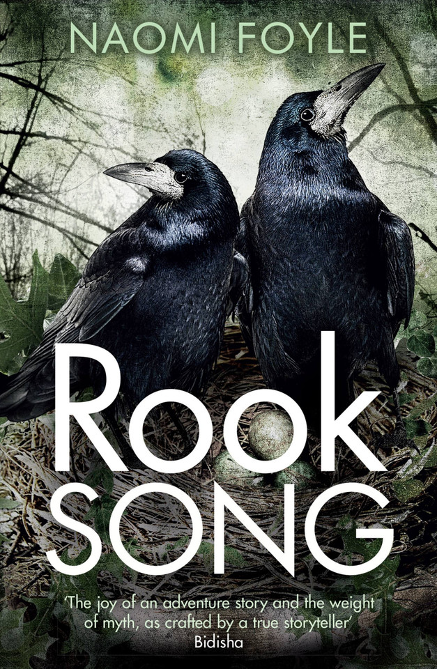 Rook Song: The Gaia Chronicles Book 2 (The Gaia Chronicles) book cover by Naomi Foyle
