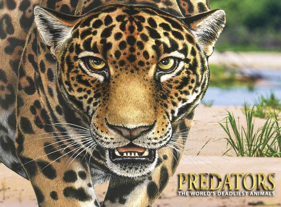 Predators: The World's Deadliest Animals book cover by Paula Hammond