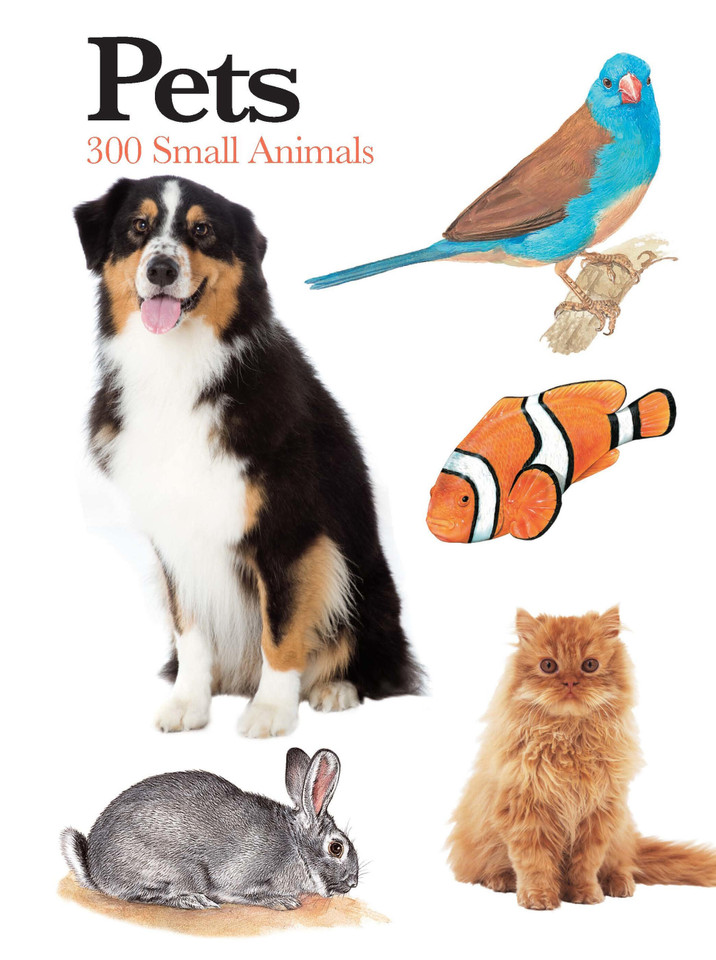 Pets: 300 Small Animals (Mini Expert Guides) book cover by Claudia Martin