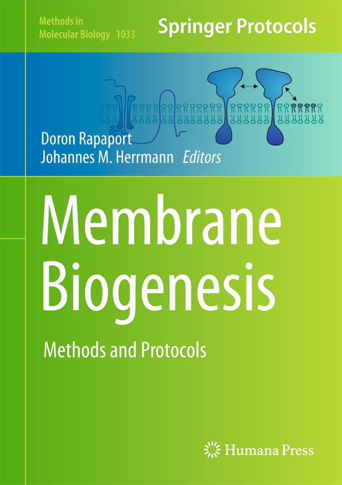 Membrane Biogenesis: Methods and Protocols (Methods in Molecular Biology #1033) book cover by 