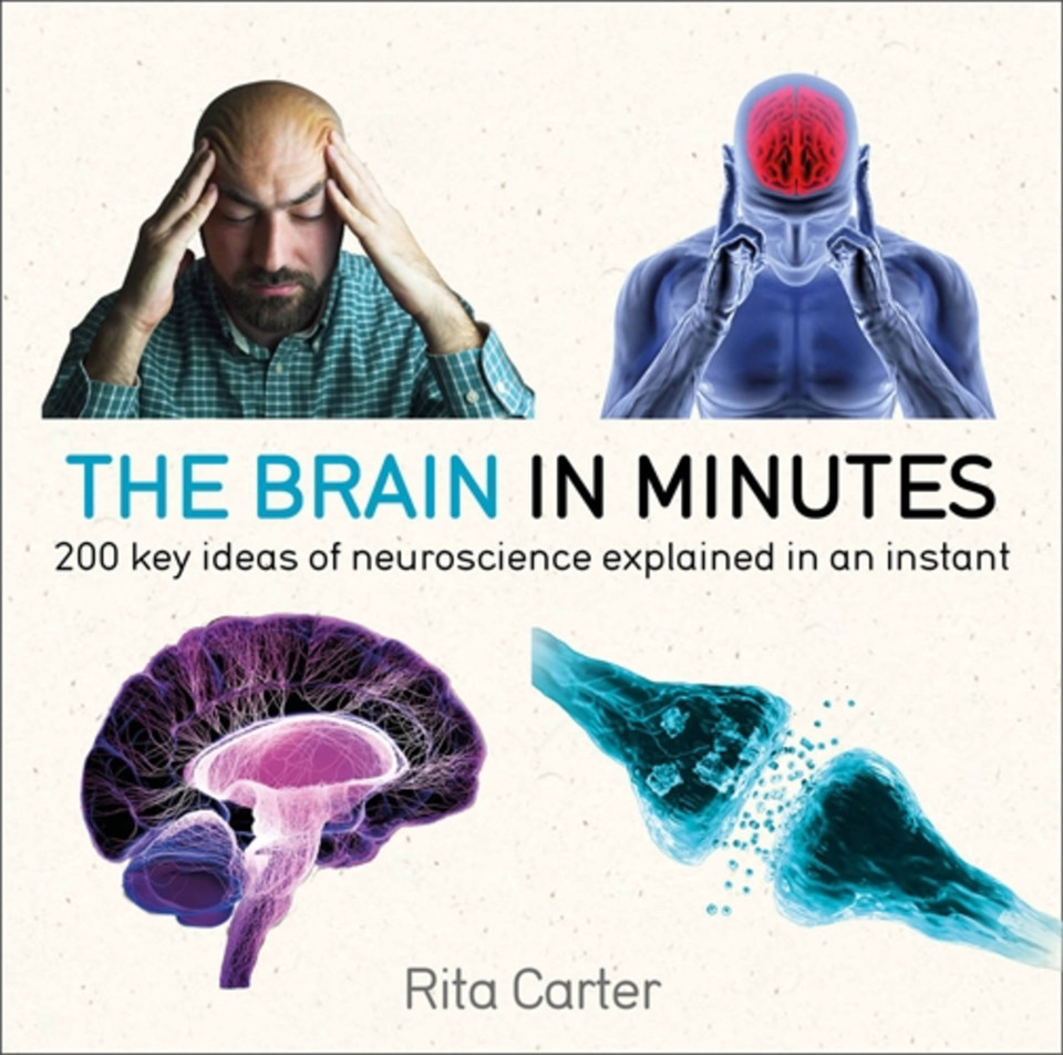 The Brain in Minutes: 200 key ideas of neuroscience explained in an instant (In MInutes) book cover by Rita Carter