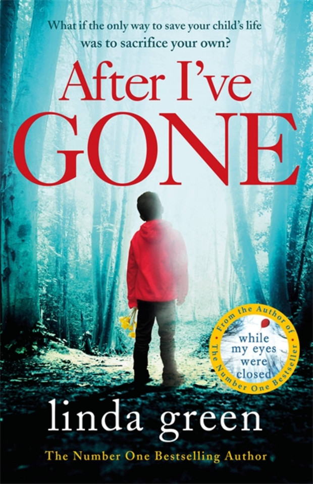 After I've Gone book cover by Linda Green