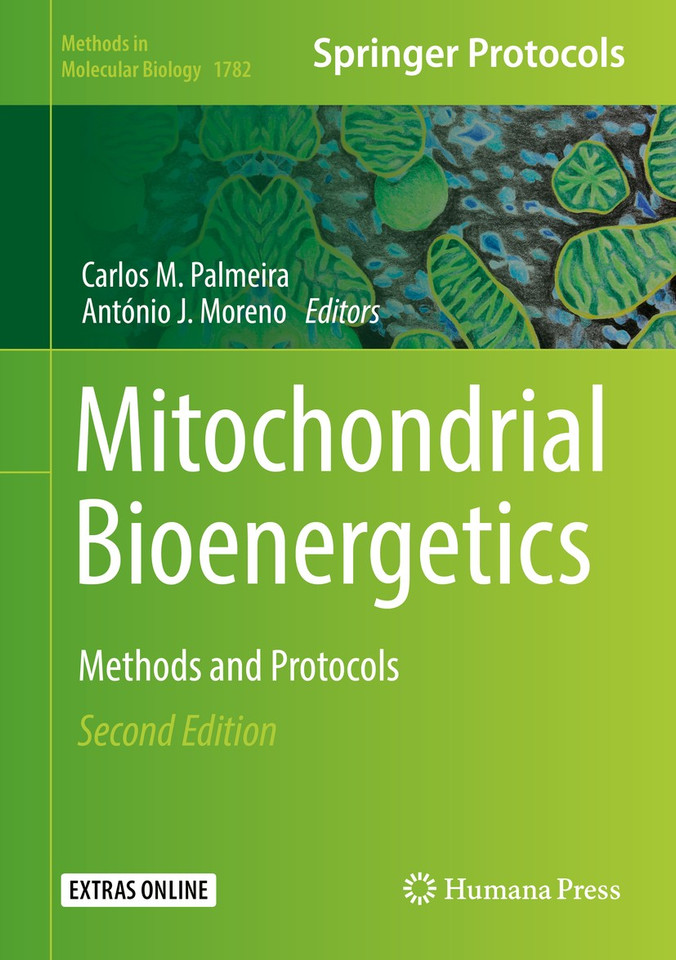 Mitochondrial Bioenergetics: Methods and Protocols (Methods in Molecular Biology #1782) book cover by 