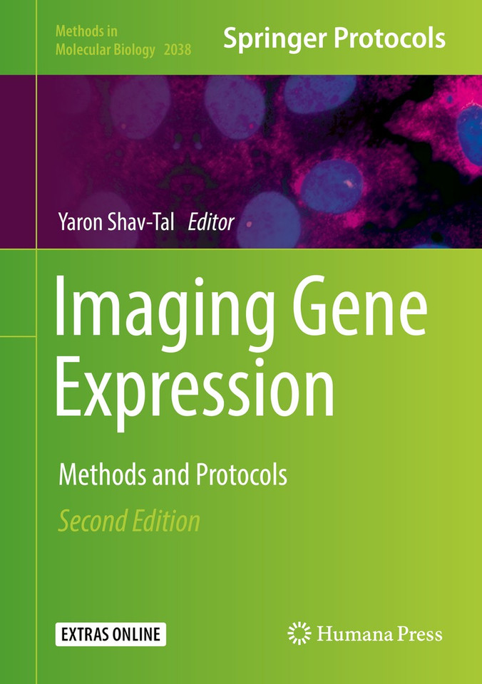 Imaging Gene Expression: Methods and Protocols (Methods in Molecular Biology #2038) book cover by 