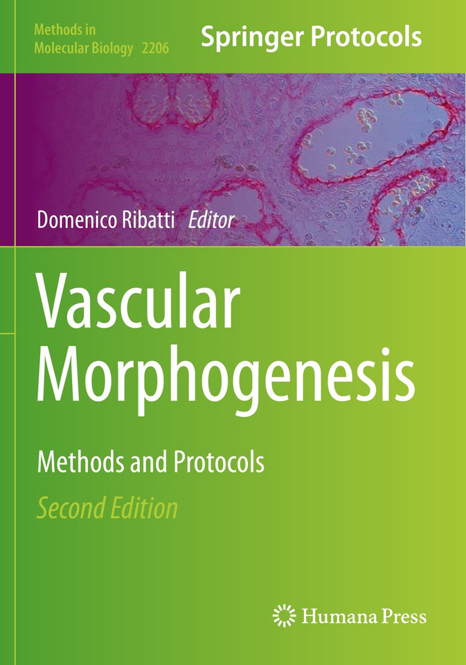 Vascular Morphogenesis: Methods and Protocols (Methods in Molecular Biology #2206) book cover by 