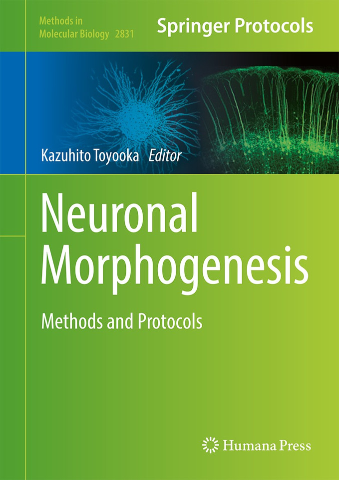 Neuronal Morphogenesis: Methods and Protocols (Methods in Molecular Biology #2831) book cover by 