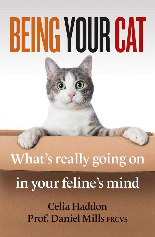 Being Your Cat: What’s really going on in your feline’s mind book cover by Celia Haddon