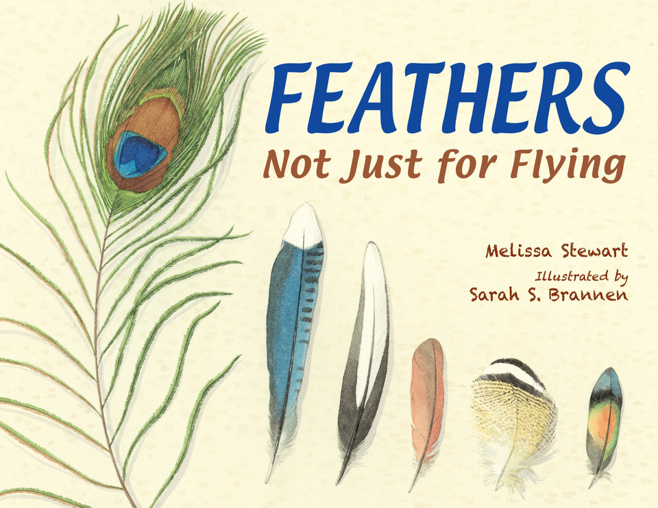 Feathers: Not Just for Flying book cover by Melissa Stewart