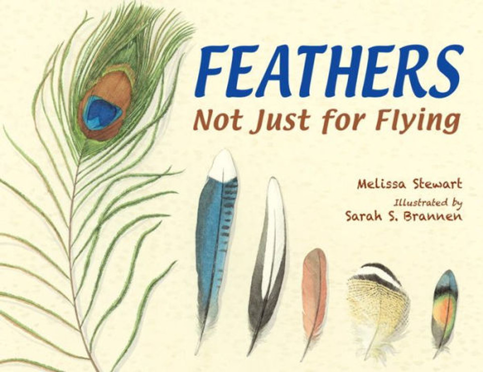 Feathers: Not Just for Flying Cover