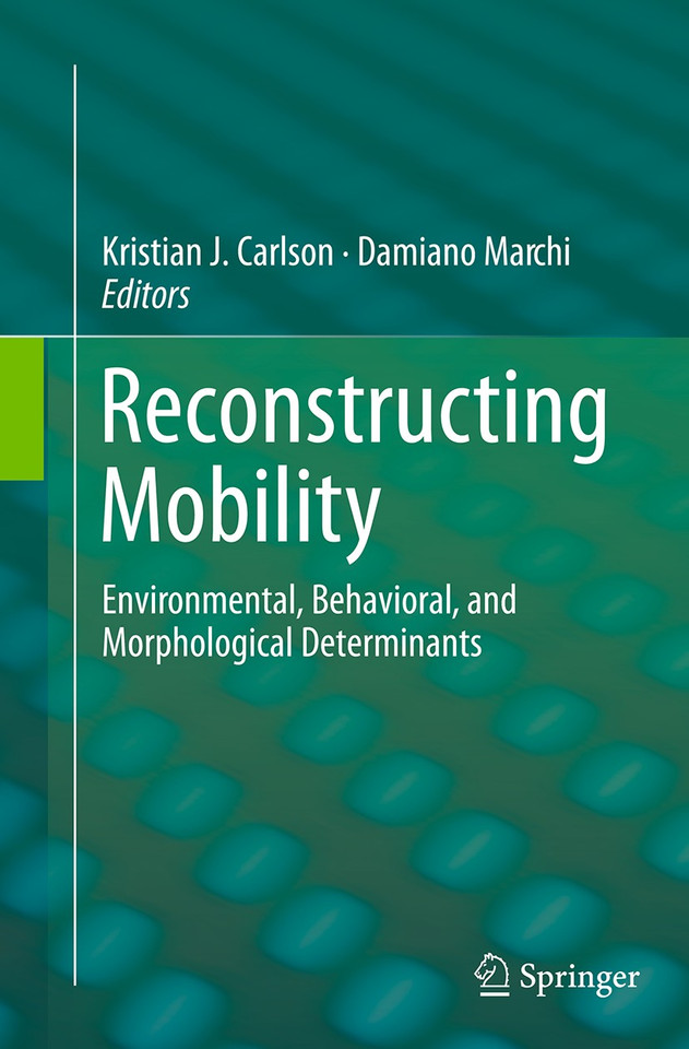 Reconstructing Mobility: Environmental, Behavioral, and Morphological Determinants book cover by 