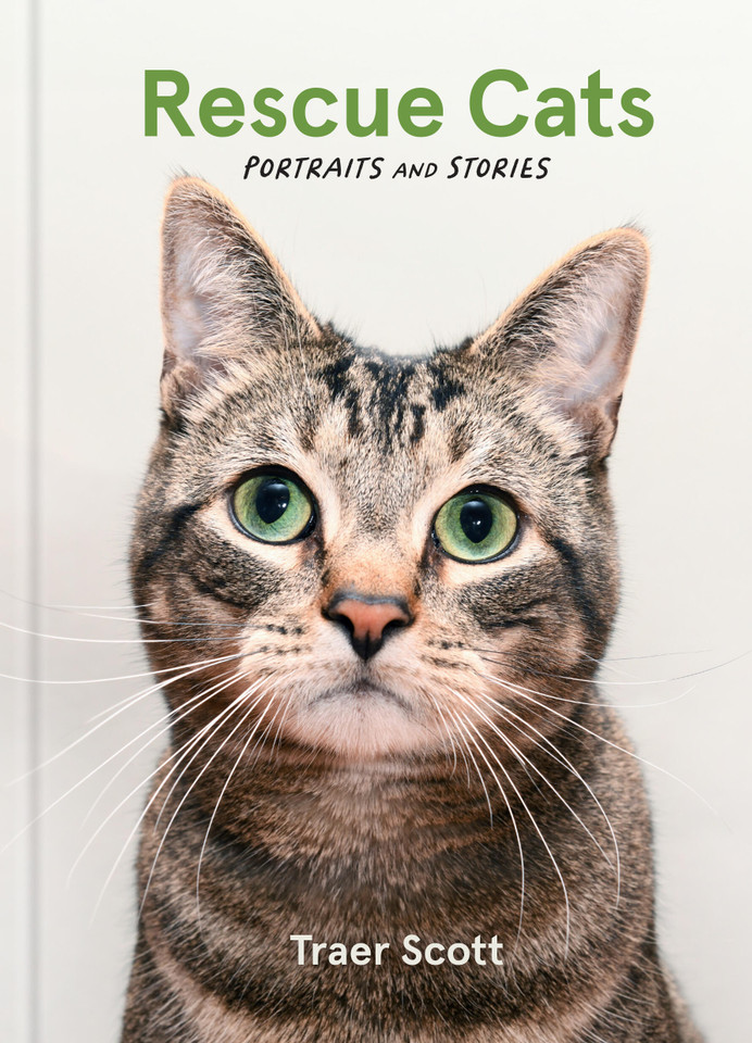 Rescue Cats: Portraits and Stories book cover by Traer Scott