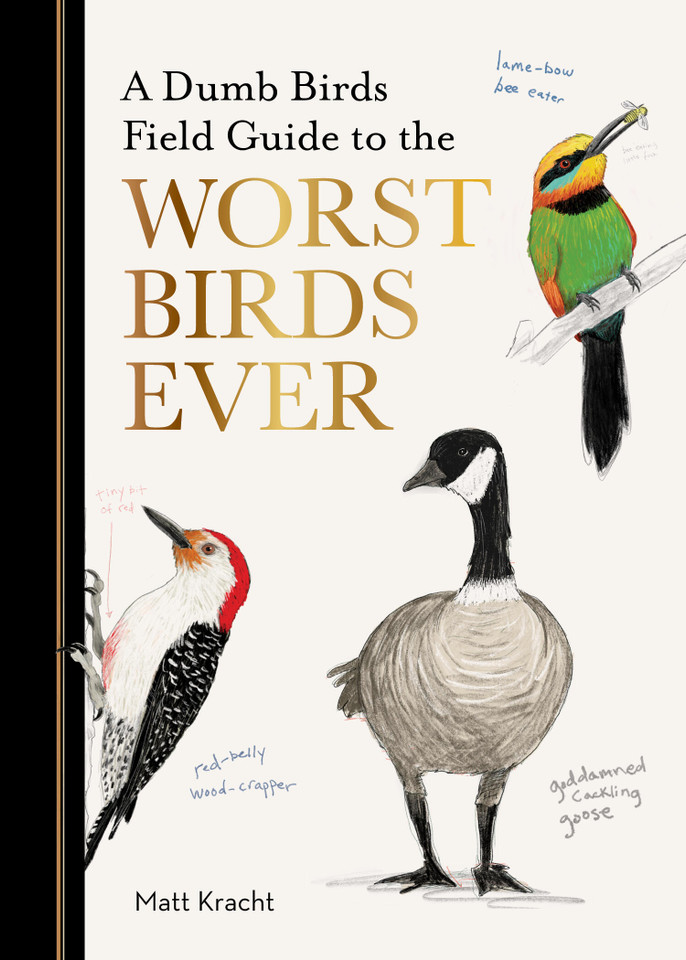 A Dumb Birds Field Guide to the Worst Birds Ever (Dumb Birds) book cover by Matt Kracht