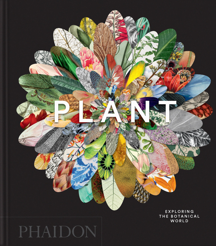 Plant: Exploring the Botanical World (Phaidon Compacts) book cover by Phaidon Editors